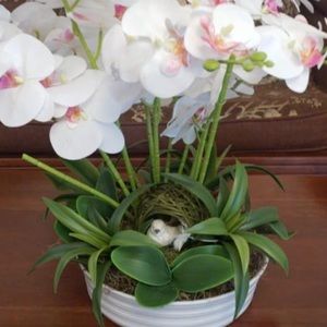 Meet your Posher, Agustina